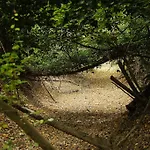 Biologico Rosa