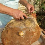 בית חווה Biologico Rosa *