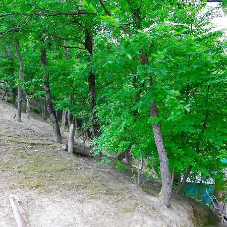 Biologico Rosa Monte Guiduccio