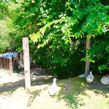 Farm stay Biologico Rosa Monte Guiduccio