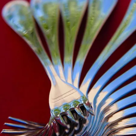 Biologico Rosa Monte Guiduccio