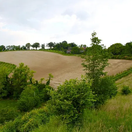 Biologico Rosa Monte Guiduccio