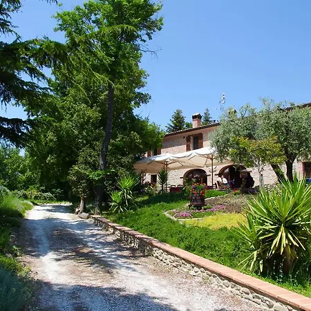 Biologico Rosa Monte Guiduccio