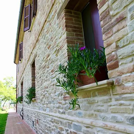 Farm stay Biologico Rosa