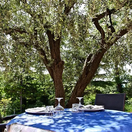 Biologico Rosa Monte Guiduccio