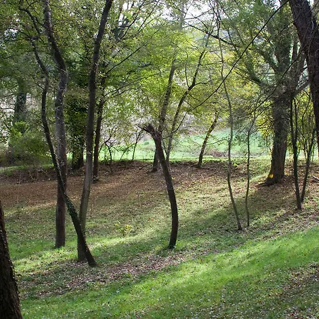 Farm stay Biologico Rosa