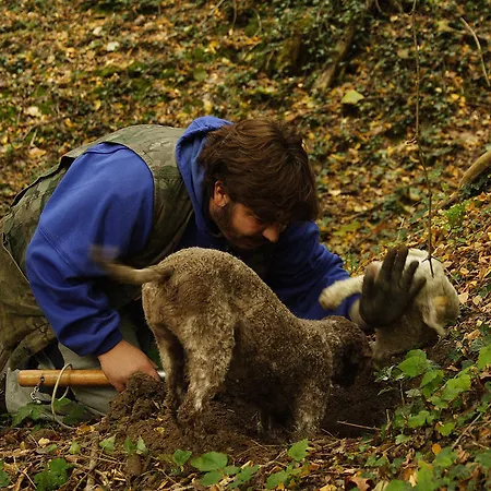 Farmház Biologico Rosa Monte Guiduccio