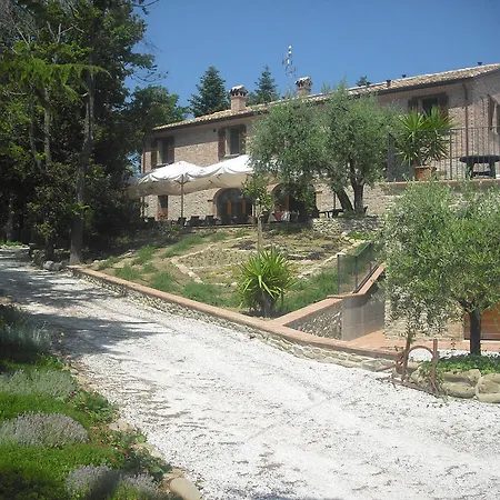 Biologico Rosa Monte Guiduccio
