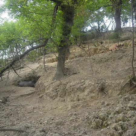 Farm stay Biologico Rosa *