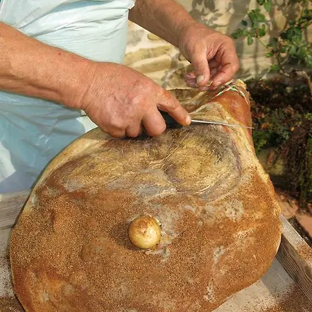 Çiftlik konaklama Biologico Rosa *