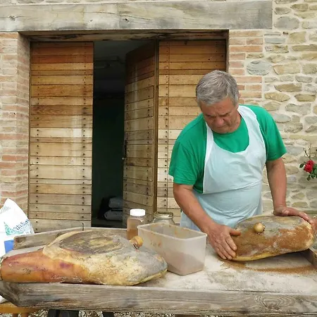 Biologico Rosa Monte Guiduccio