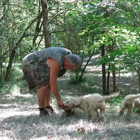 Farm stay Biologico Rosa Monte Guiduccio