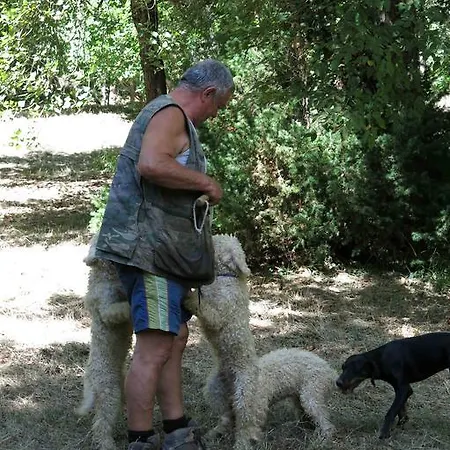 Farmház Biologico Rosa