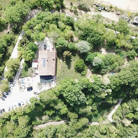 Biologico Rosa * Monte Guiduccio